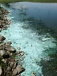 e87e16ec-7298-4bf6-aa7d-26323920e8e1.jpg