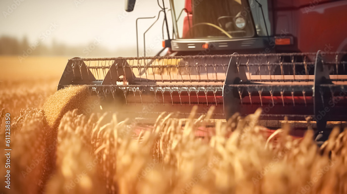 AI soybean harvest