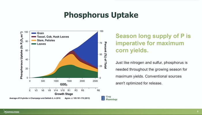 /ext/resources/images/2023/Below-Phosphorus-Uptake-Graph.png