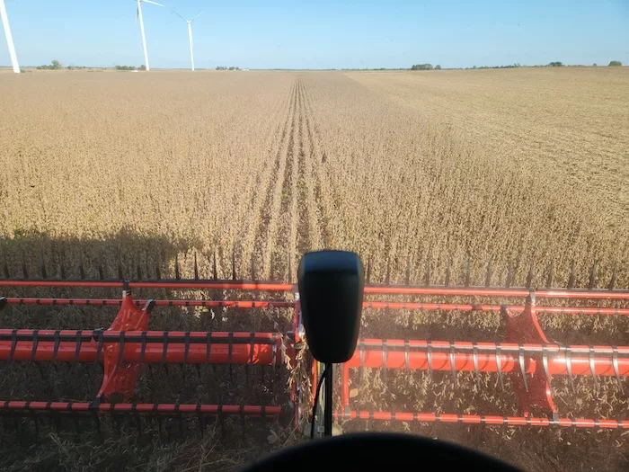 Bryan Severs Soybeans.jpg