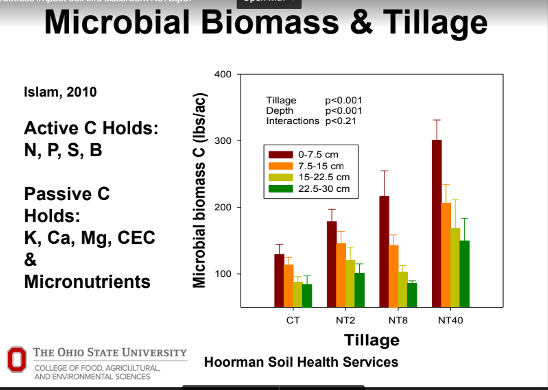 Microbial-Biomass