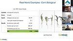 Indigo Ag W12 Corn.png