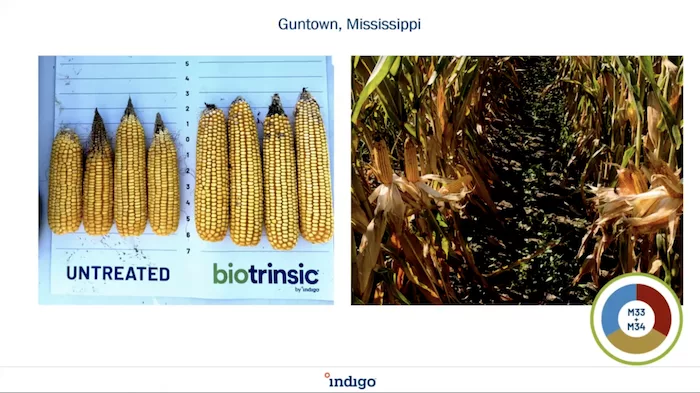 Indigo Ag biotrinsic M33+M34.png