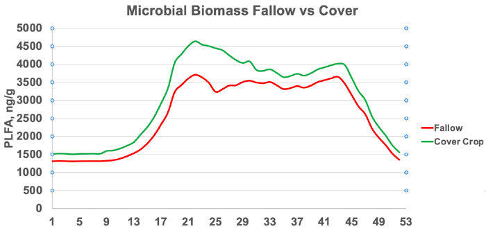 Microbial_Biomass_700.jpg