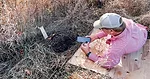 Soil-Testing.jpg