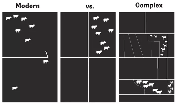 model-of-grazing.jpg
