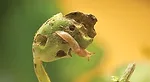 SLUG1.jpg