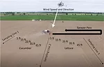 field-drift-design-700.jpg