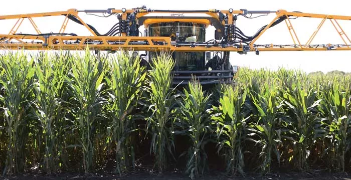 Reduced-stature-corn-hybrids.jpg