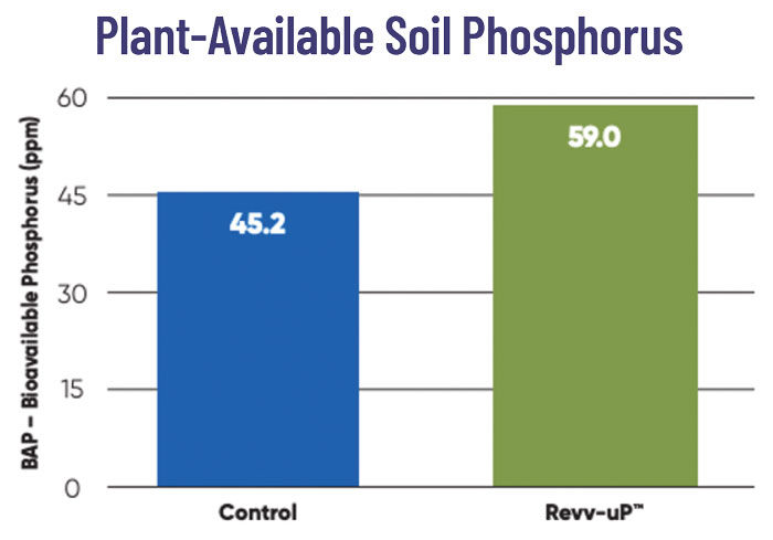Plant-Available-Soil-Phosphorus-700.jpg