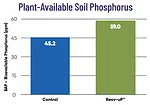 Plant-Available-Soil-Phosphorus-700.jpg