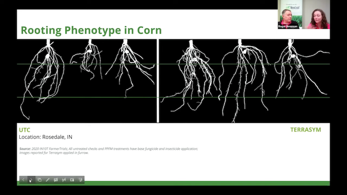 NewLeaf Terrasym for Corn Impact on Roots.png