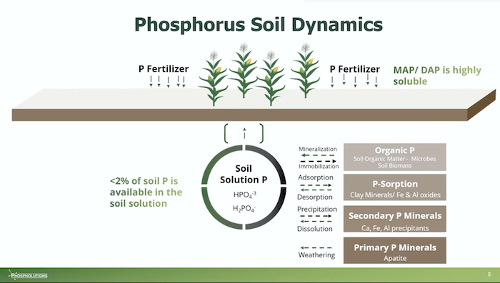 /ext/resources/images/2023/Phospholutions-Soil-Dynamics.png
