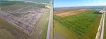 Saline Soils Before After.jpg