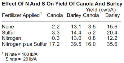 Graph showing affect of nitrogen and sulfur on yield of canola and barley