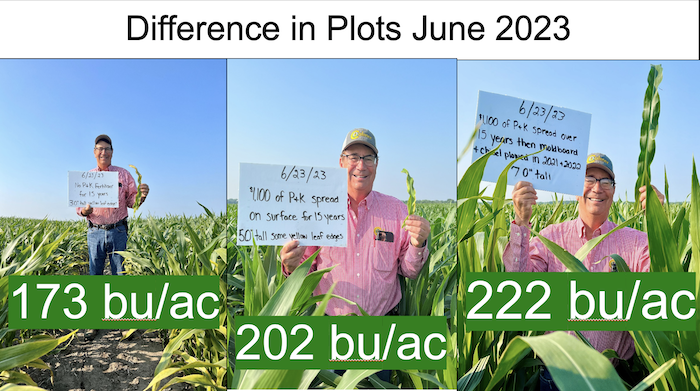 On June 23, 2023, Marion Calmer compared the size of corn plants in three different plots on his Alpha, Ill., farm: a no-till plot with no phosphorus (P) and potassium (K) added for 15 years (L), a no-till plot with $1,100 of P and K spread on the surface for 15 years (center) and a strip of ground moldboard and chisel plowed for 2 years, following 15 years of no-till and $1,100 of surface-applied P and K (R)