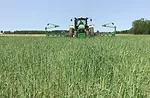 Planting Green.jpg