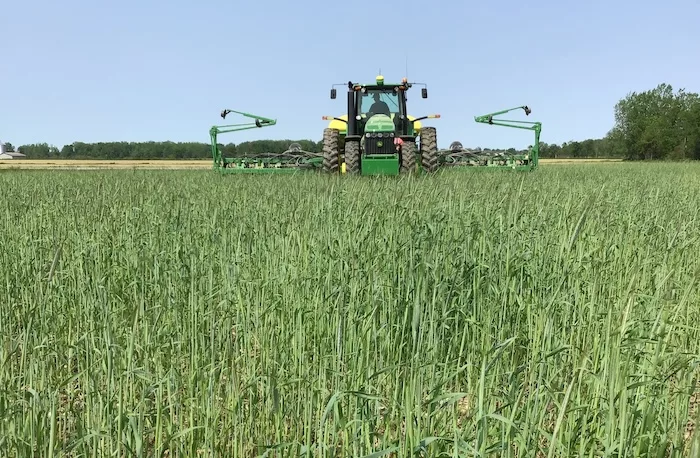 Planting Green.jpg