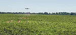 Young-drone-spraying-2.jpg