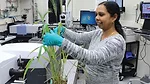 Chithra-Karunakaran-works-Mid-IR-Beamline.jpg