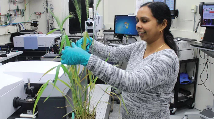 Chithra-Karunakaran-works-Mid-IR-Beamline.jpg