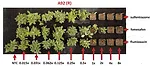 Felipe-Faleco-Greenhouse-Experiment.jpg
