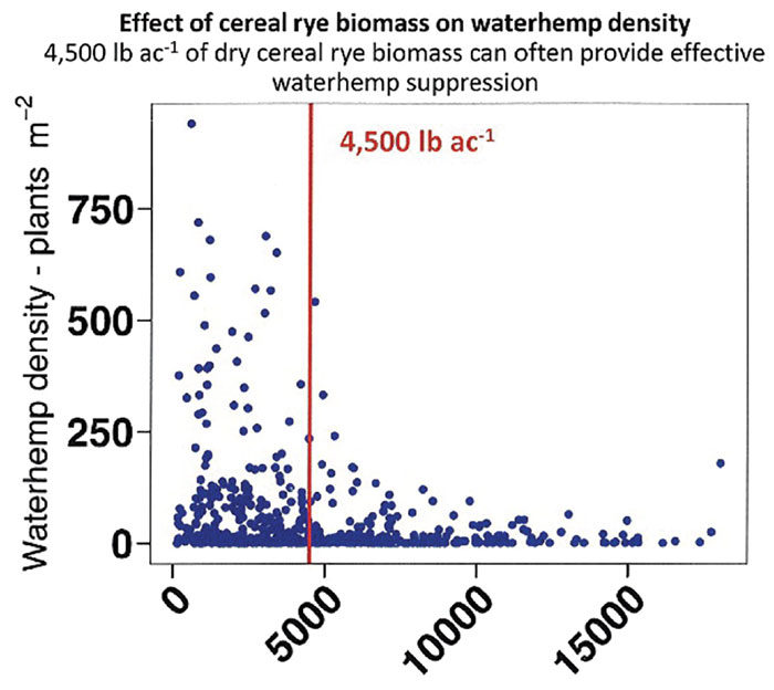effect-of-cereal-rye-biomass-on-waterhemp-density