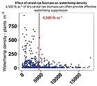 effect-of-cereal-rye-biomass-on-waterhemp-density-700.jpg