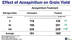 Effect-of-Azospirillum-on-Grain-Yield-700.jpg