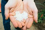 Recycled-phosphorus-fertilizer-processed_3640606---Struvite.jpg
