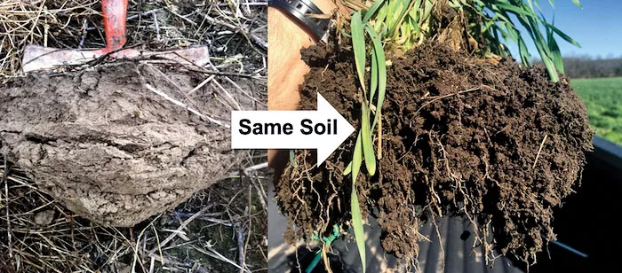 archuleta-soils.jpg