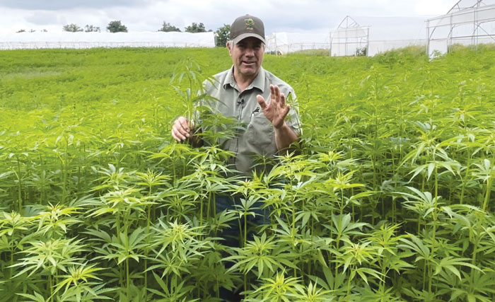 Proper Equipment Crucial for Growing No-Till Hemp