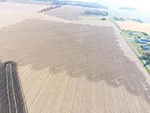 OSU Manure Application Double Crop Soybeans.jpg