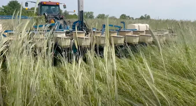 Ohio's Country Journal Planting Green Cereal Rye.png