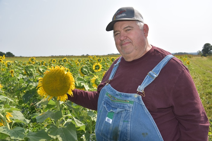 /ext/resources/images/2024/Photo.Brandt.Sunflower.Oct.2020.DSC_9121.JPG