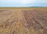 Strategic-tillage-F01.jpg