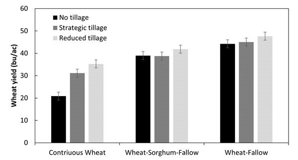 A graph of different types of wheatDescription automatically generatede