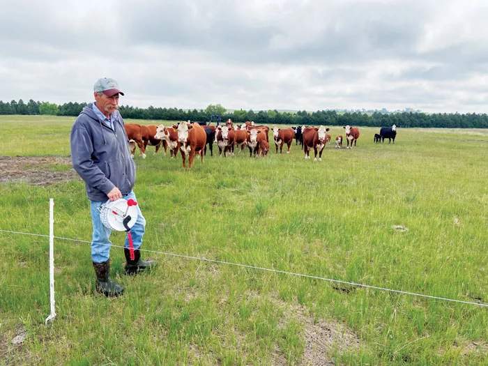 Dave-Carpenter-Livestock.jpg