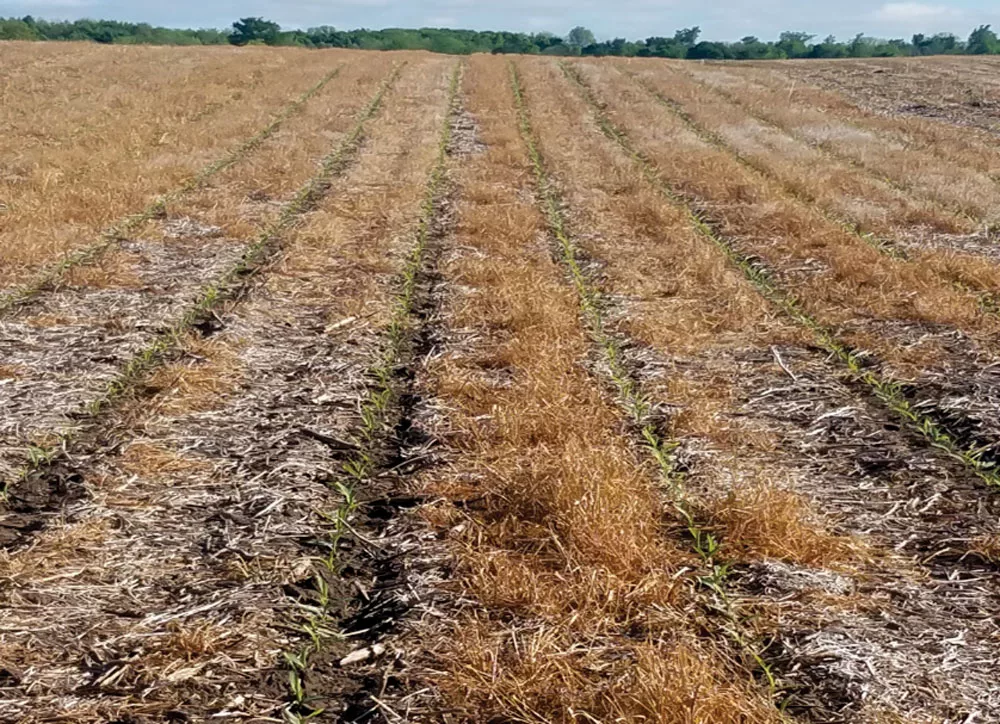 Blaine-Baker-16-row-Horsch-planter-with-Martin-row-cleaners-is-used-to-no-till-corn-and-soybeans.jpg
