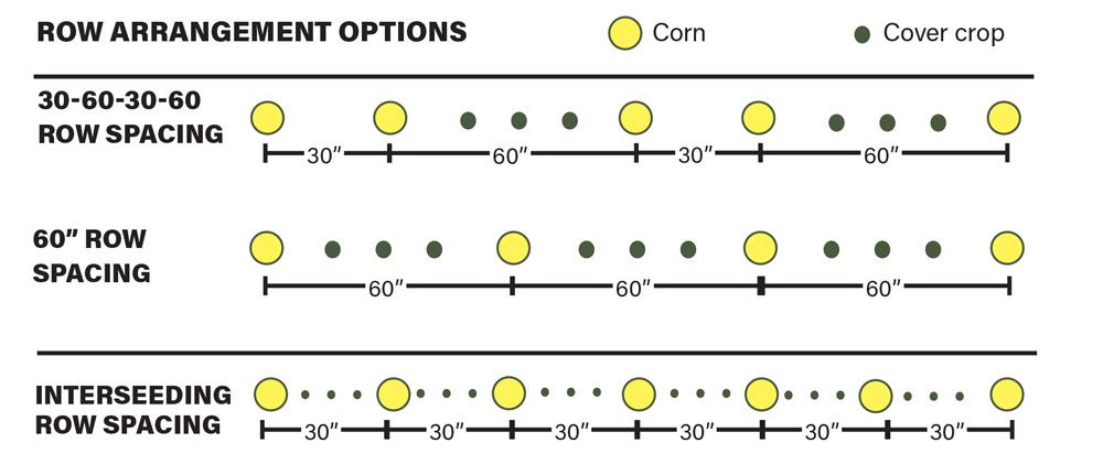 Cover Crop Application Tips — Intercrops, Alternating Crops & Row Spacing