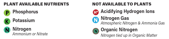 How-No-Till-Influences-Nutrient-Management_Key.jpg