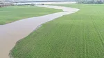 WILFNT-0625-Corcoran-Farms-large-rain-events.jpg