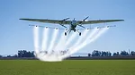 Pelican-2-Spray-2.jpg