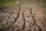 Rill-Erosion-East-Pennington-2-scaled.jpg