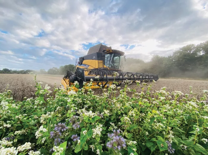 Regenerative-Farming.png