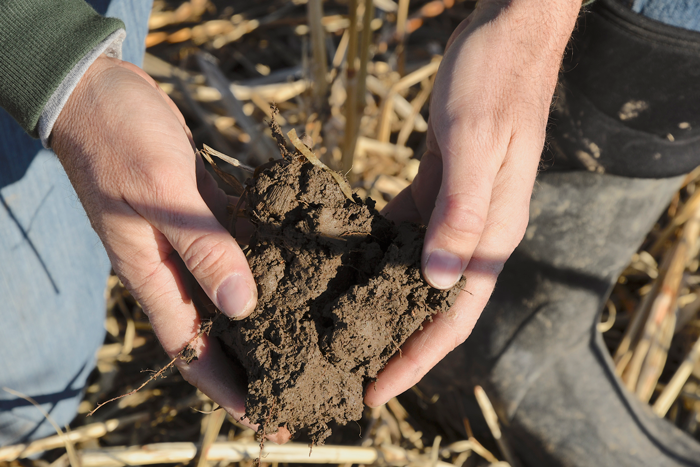 Soil-healthy-and-productive