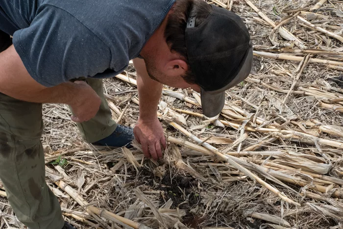 Cowan-Farm-Thick-Residue.png