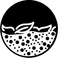 Getting-Started-with-No-Till-Farming-no-till_ICONS-no-till-transition-24.png