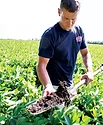 Getting-Started-with-No-Till-Farming-thriving-soil-ecosystem.jpg