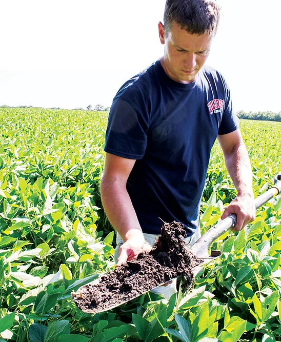 Getting-Started-with-No-Till-Farming-thriving-soil-ecosystem.jpg